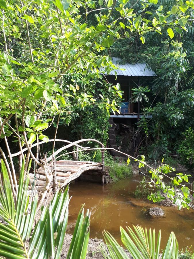 Sumatra Ecolodge Sungaipisang Exterior photo