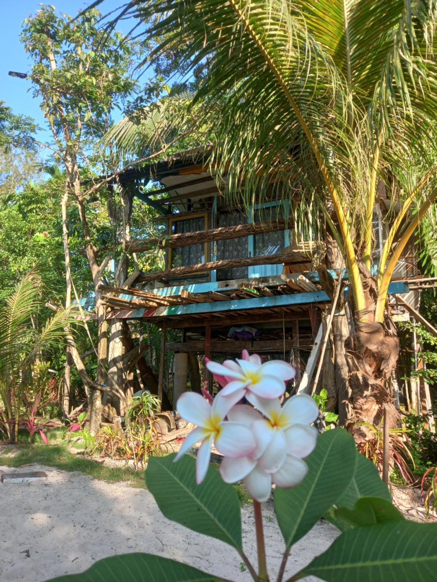 Sumatra Ecolodge Sungaipisang Room photo