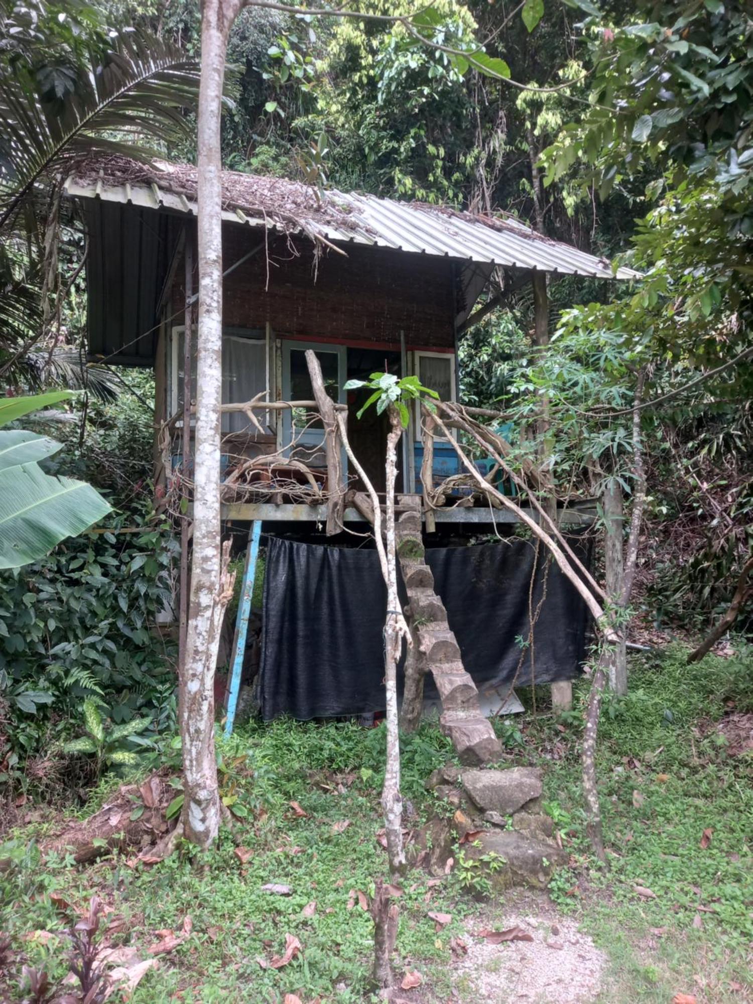 Sumatra Ecolodge Sungaipisang Room photo