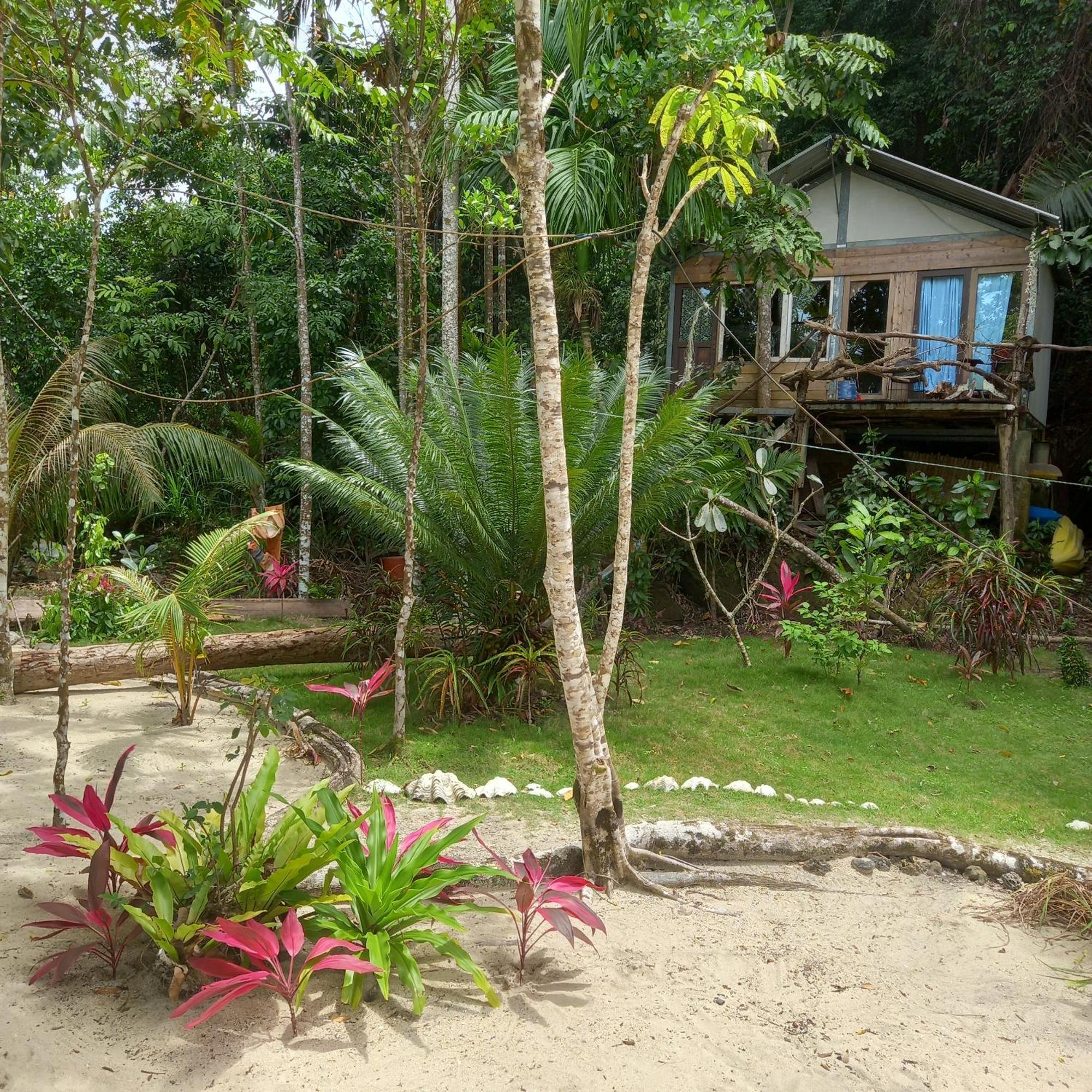 Sumatra Ecolodge Sungaipisang Room photo